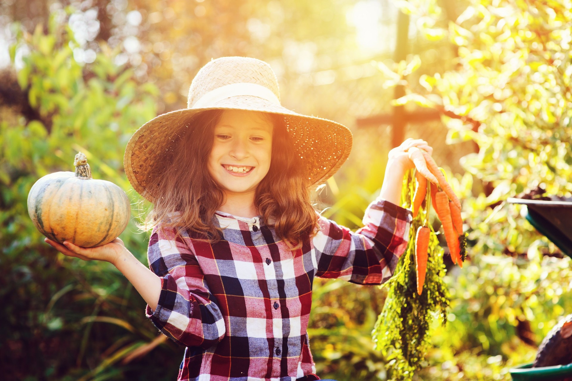glückliches Kind lustig Mädchen in Bauer Hut und Hemd spielen und Kommissionierung Herbst Gemüseernte im sonnigen Garten. Anbau von Bio-Karotten und Kürbis.